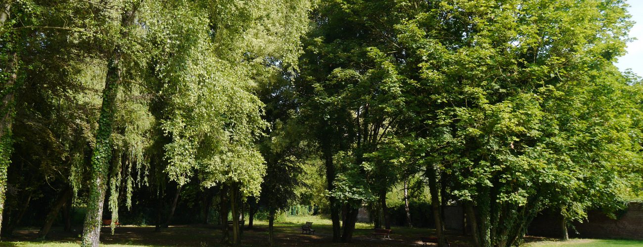 parc_1 parc_1