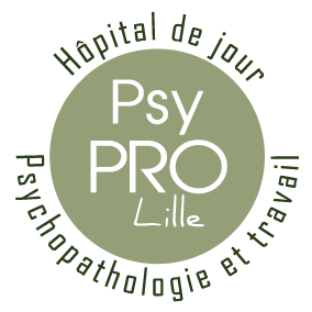 logo-complet-lille-web-plan-de-travail-2